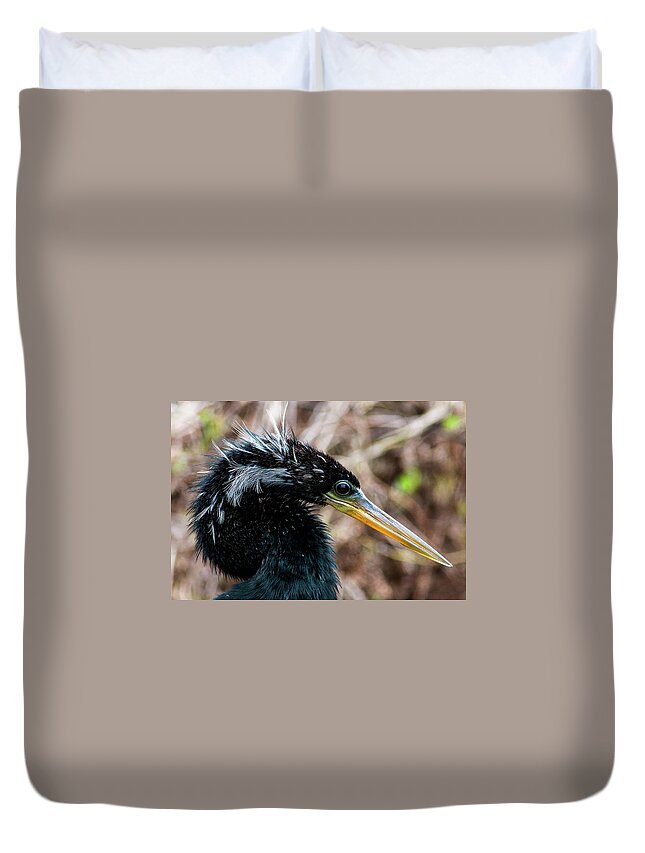 Anhinga Duvet Cover featuring the photograph American Darter by Norman Johnson