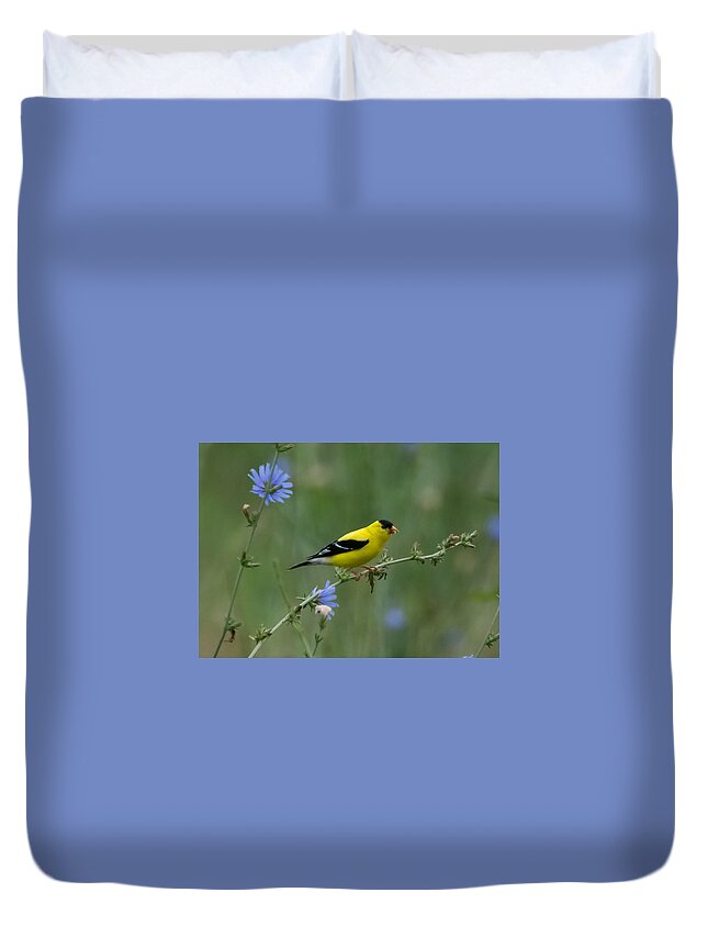 American Goldfinch Duvet Cover featuring the photograph American Goldfinch   by Holden The Moment