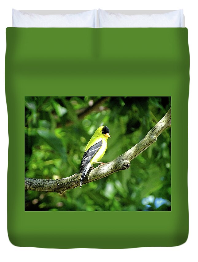 American Goldfinch Duvet Cover featuring the photograph American Goldfinch 2 by Lilia S