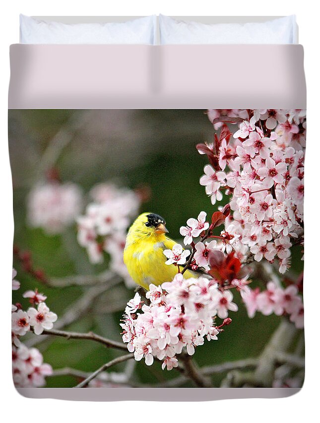 Finches Duvet Cover featuring the photograph American Goldfinch by Trina Ansel