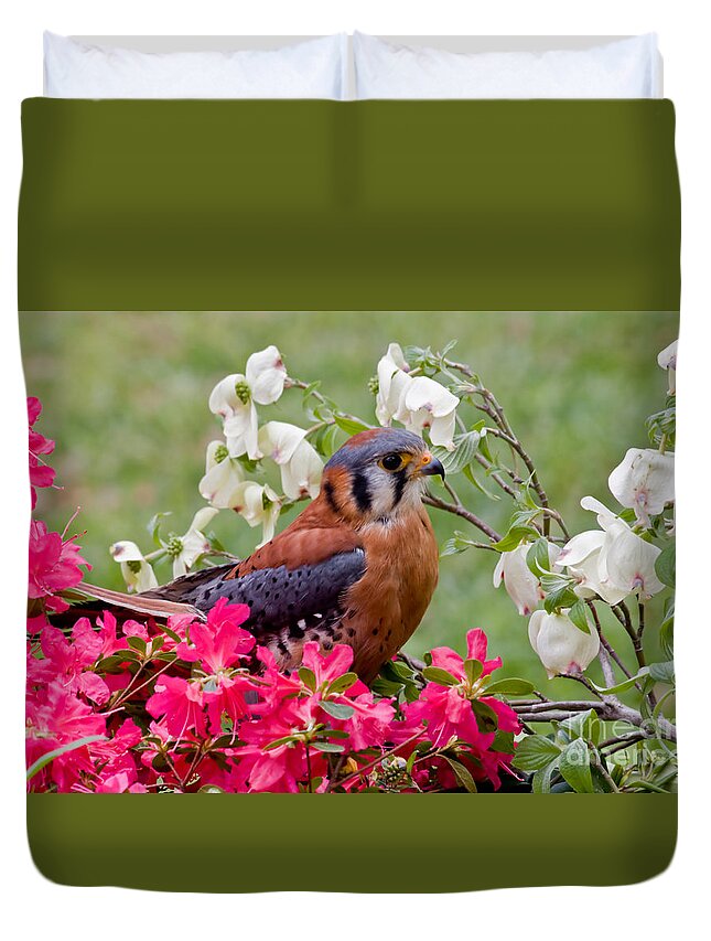 American Duvet Cover featuring the photograph American Kestrel in Azaleas by Jill Lang