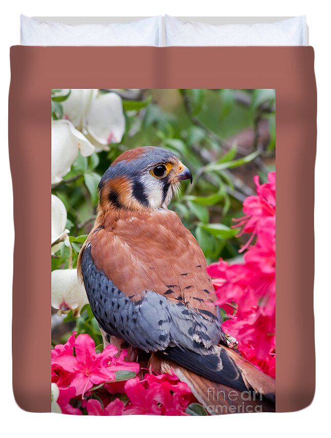 American Duvet Cover featuring the photograph American Kestrel in the Azaleas by Jill Lang