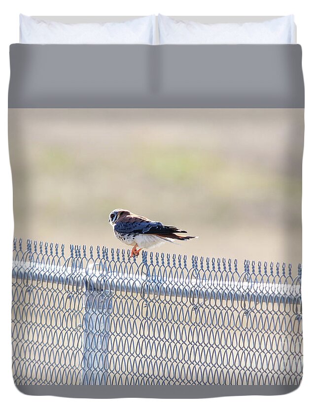 American Kestrel Duvet Cover featuring the photograph American Kestrel by Alyce Taylor