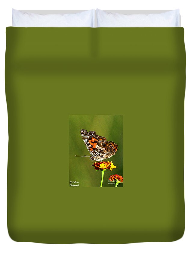 American Painted Lady Duvet Cover featuring the photograph American Painted Lady by Barbara Bowen