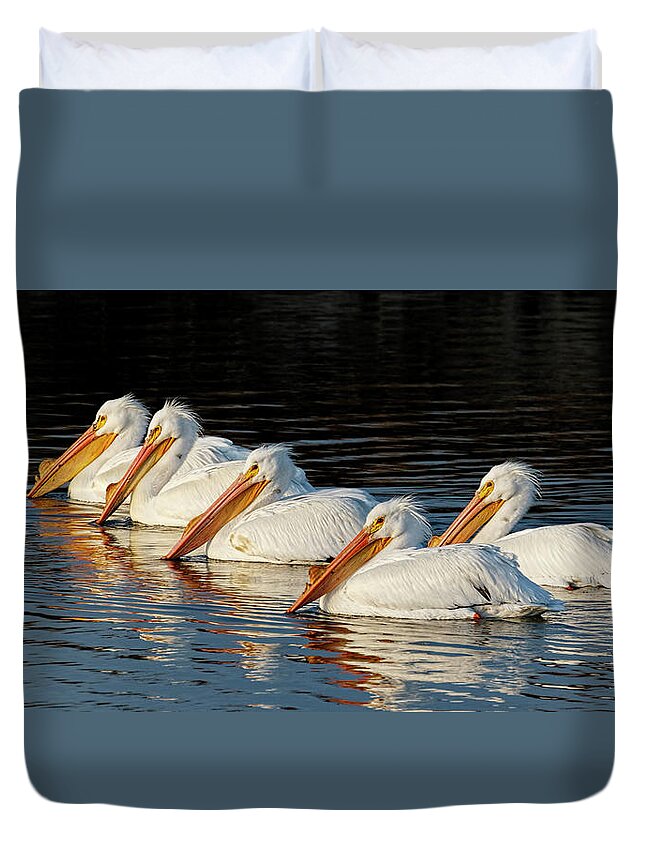 Kansas Duvet Cover featuring the photograph American Pelicans - 01 by Rob Graham