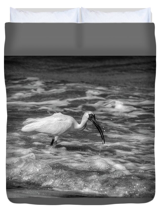 American White Ibis Duvet Cover featuring the photograph American White Ibis in Black and White by Greg and Chrystal Mimbs