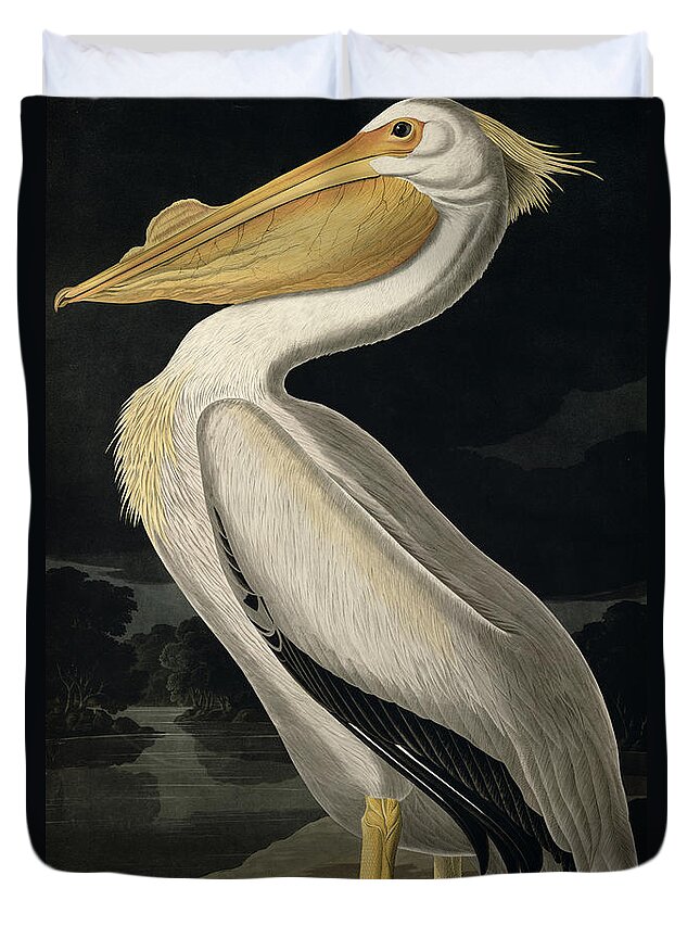 American White Pelican Duvet Cover featuring the painting American White Pelican by John James Audubon