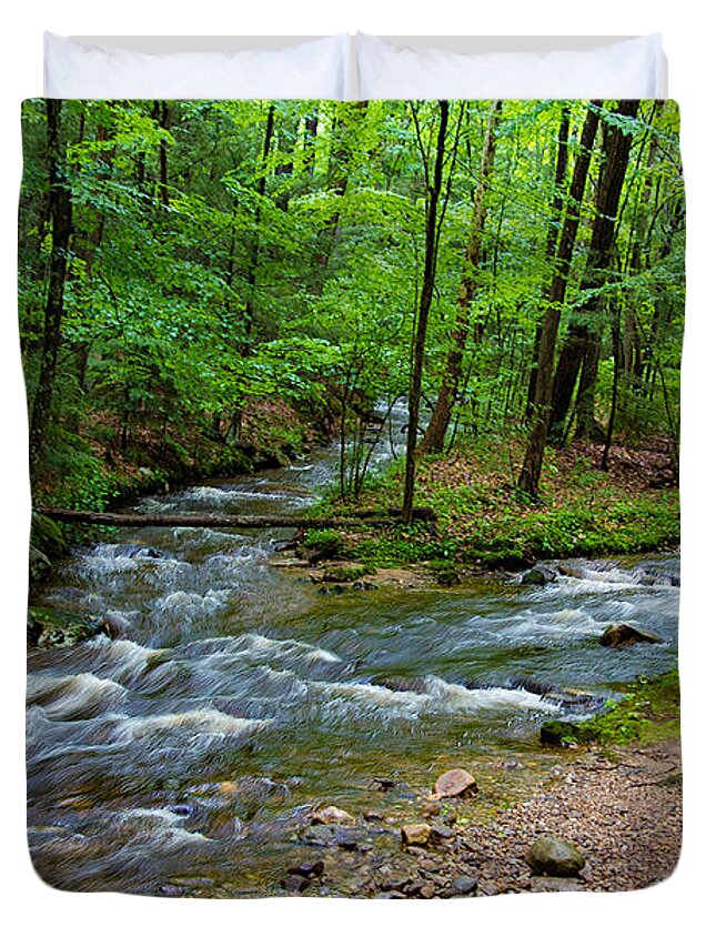 Nature Duvet Cover featuring the photograph Amethyst Brook in Amherst MA by Richard Goldman