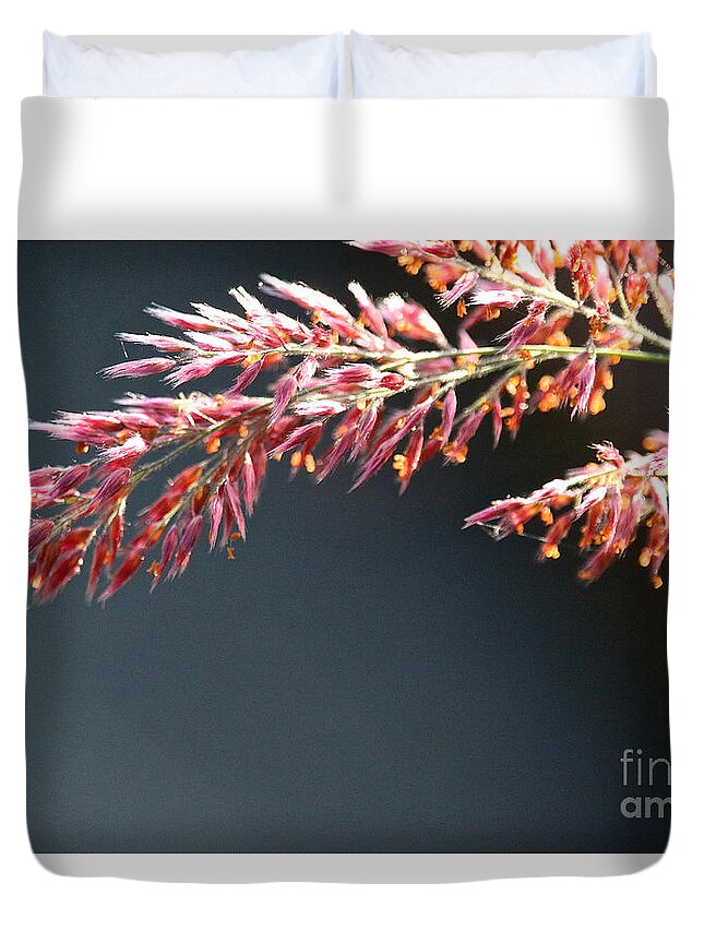 Flower Duvet Cover featuring the photograph Amethyst Future by Susan Herber
