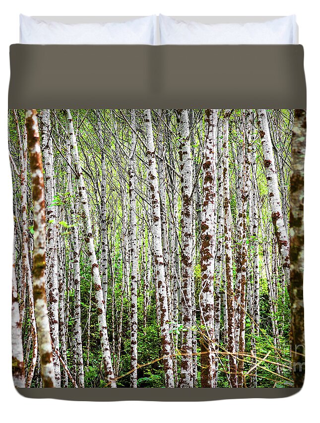 Trees Duvet Cover featuring the photograph Amongst The Alders by Mark Alder