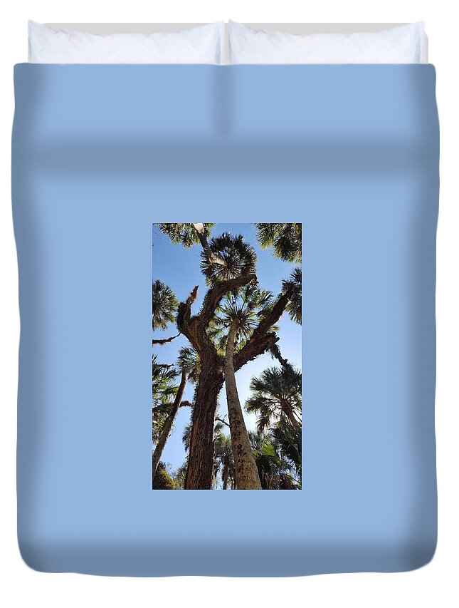 Trees Duvet Cover featuring the photograph An ants eye view by Lindsey Floyd