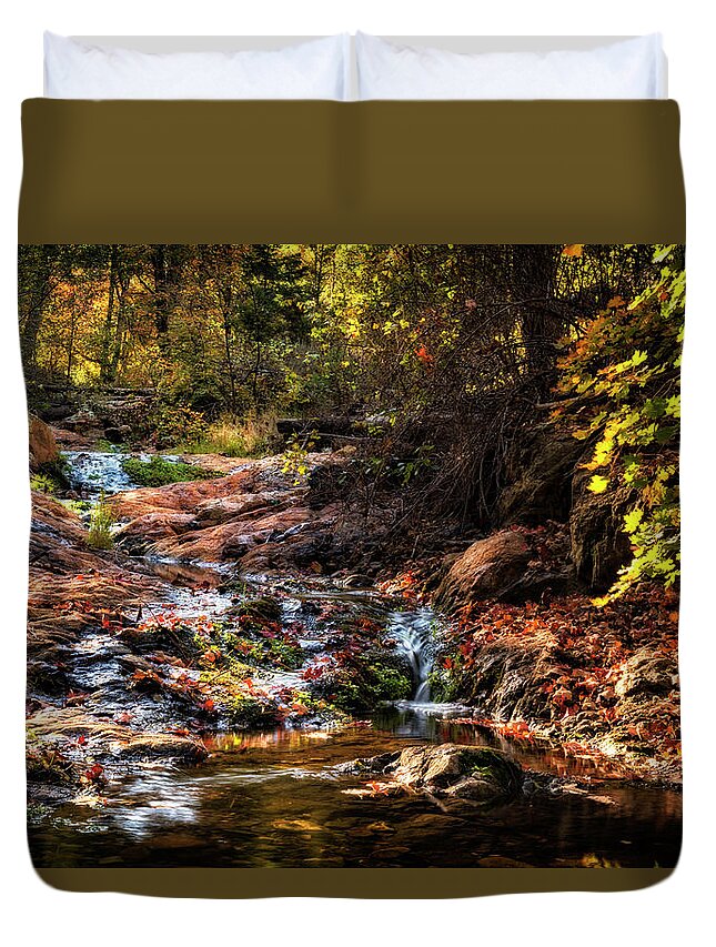 Creekside Duvet Cover featuring the photograph An Arizona Autumn Creekside by Saija Lehtonen