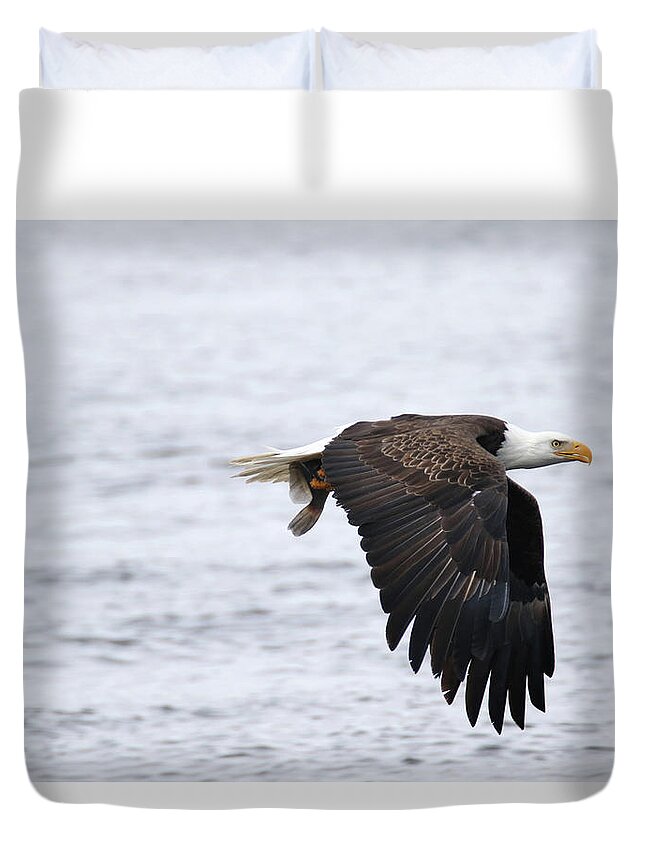 Bald Eagle Duvet Cover featuring the photograph An Eagles Catch 11 by Brook Burling