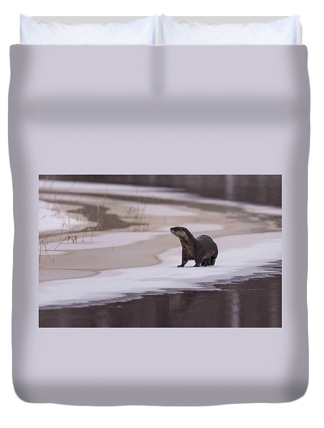 Otter Duvet Cover featuring the photograph An Icy Playground by Jody Partin