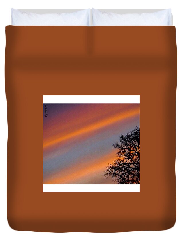 Branches Duvet Cover featuring the photograph An #instaawesome #texas by Austin Tuxedo Cat