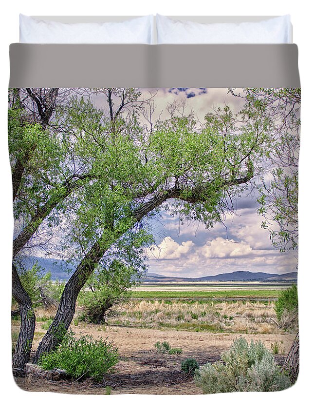Mountains Duvet Cover featuring the photograph An Oasis of Leaning Trees Under Slide Mountain in a Barren Washoe Lake Beach by Brian Ball