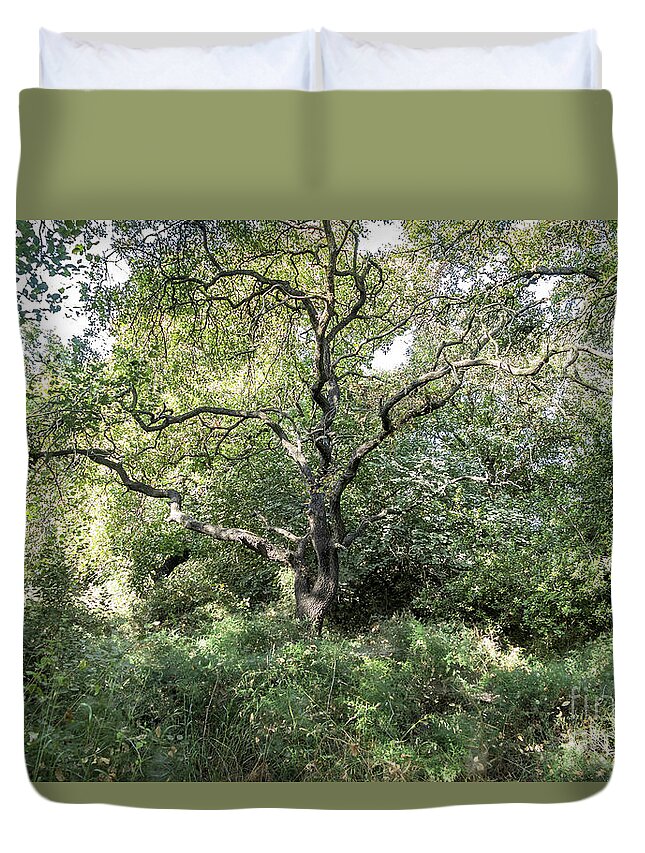 Nature Duvet Cover featuring the photograph An old one in the forest by Arik Baltinester