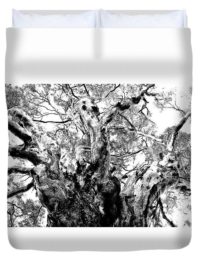 Australian Outback Duvet Cover featuring the photograph Ancient Gum by Mark Egerton