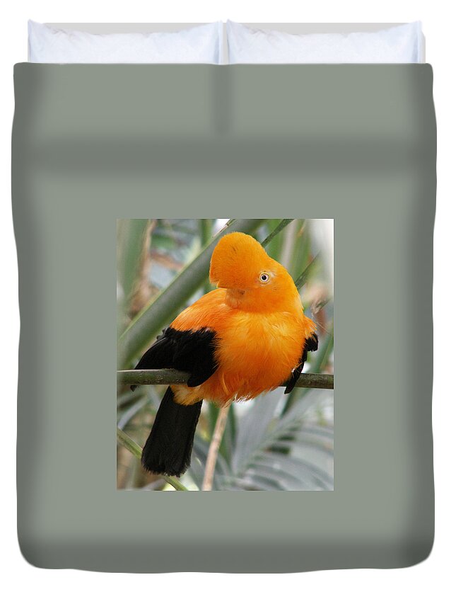 Bird Duvet Cover featuring the photograph Andean Cock of the Rock by Amy Fose