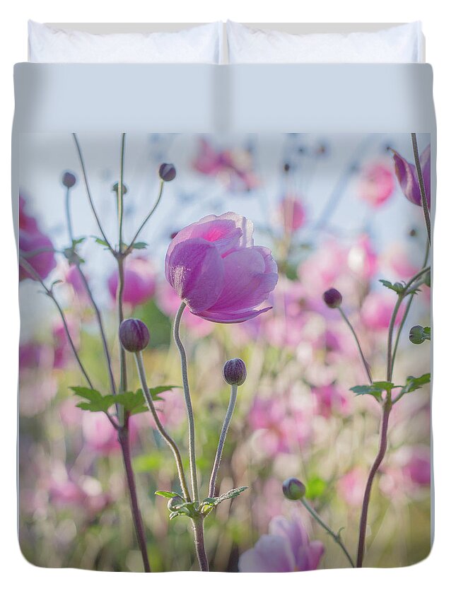 Anemone Duvet Cover featuring the photograph Anemone Softness by Diane Fifield