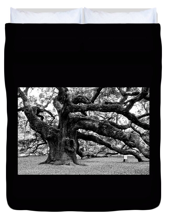 Nature Duvet Cover featuring the photograph Angel Oak Tree 2009 Black and White by Louis Dallara