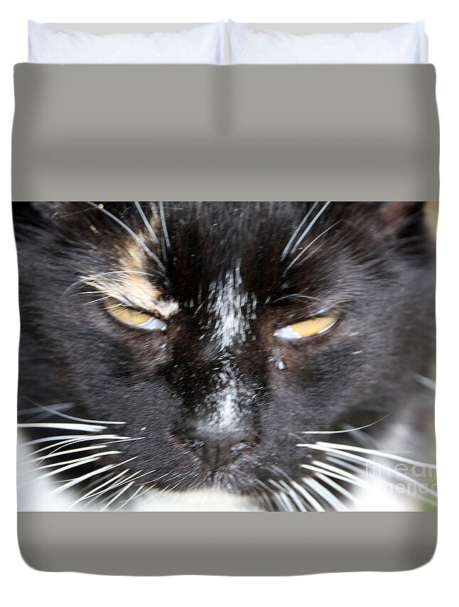 Cat Duvet Cover featuring the photograph Angel by Wendy Coulson