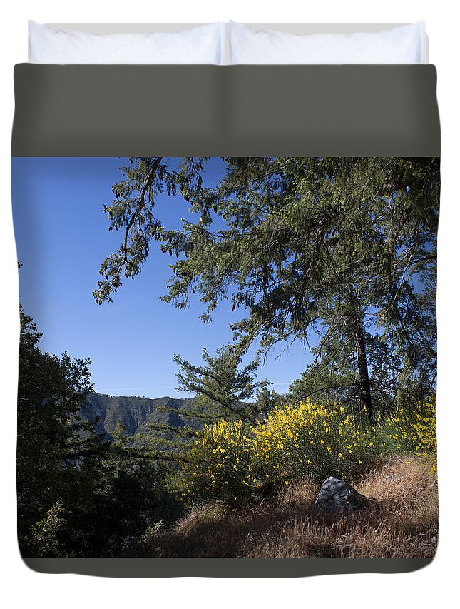 Angeles National Forest Duvet Cover featuring the photograph Angeles National Forest View by Ivete Basso Photography