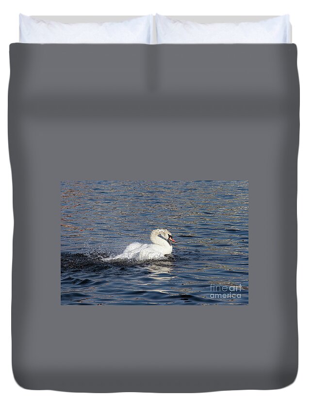Angry Duvet Cover featuring the photograph Angry swan on the water by Michal Boubin