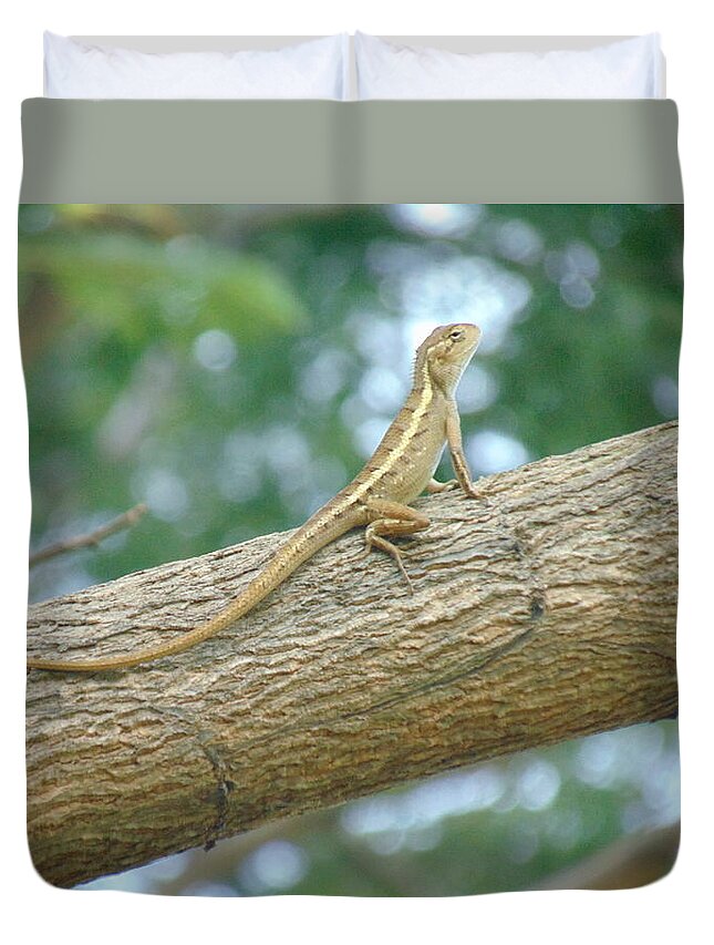 Animal. Trees Duvet Cover featuring the photograph Animal Lizard Indonesia by Muhammad Zamroni