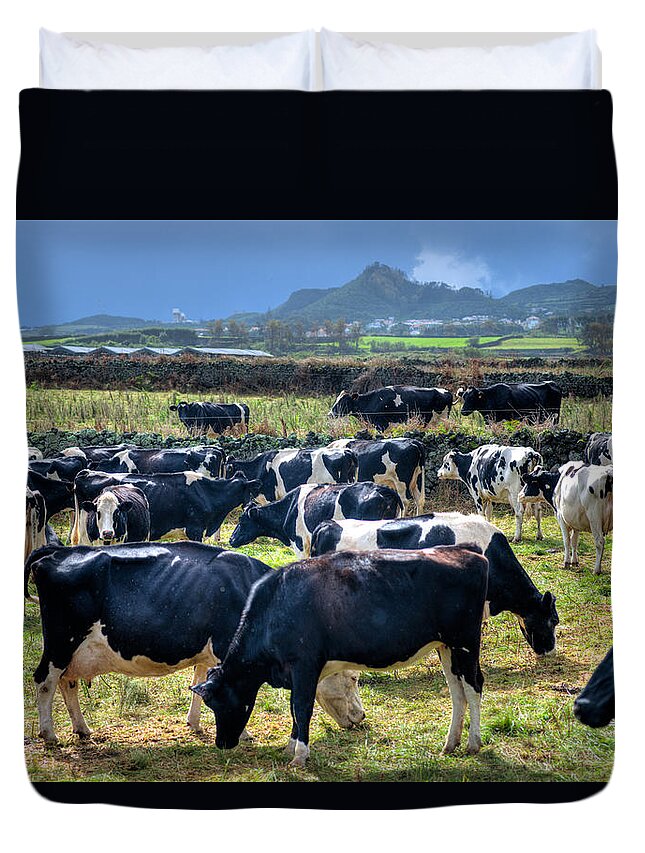 Agriculture Duvet Cover featuring the photograph Animals Livestock-02 by Joseph Amaral