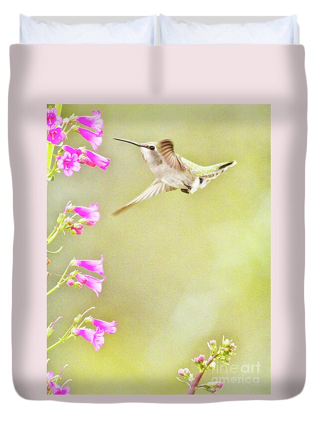 Birder Duvet Cover featuring the photograph Anna's and penstemon by Ruth Jolly