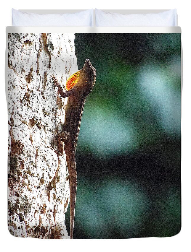 Anole Duvet Cover featuring the photograph Anole 010 by Christopher Mercer