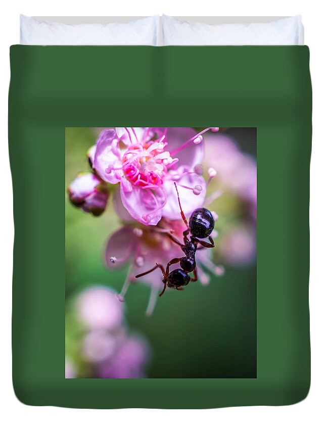 Ant On The Pink Flower Duvet Cover featuring the photograph Ant on the pink flower by Lilia D