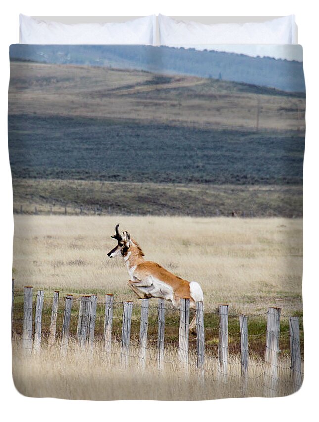 Antelope Duvet Cover featuring the photograph Antelope jumping fence 1 by Rebecca Margraf