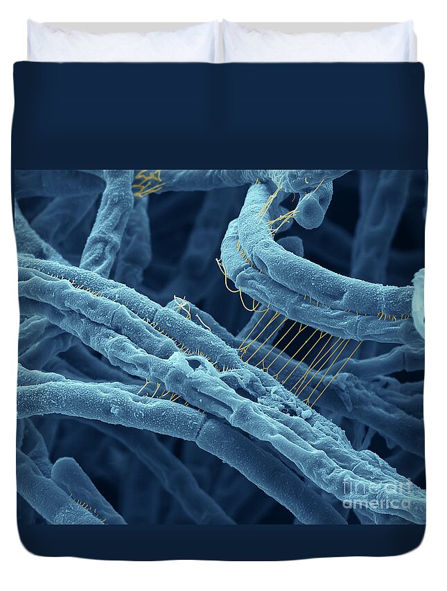 Sem Duvet Cover featuring the photograph Anthrax bacteria SEM by Eye Of Science and Photo Researchers