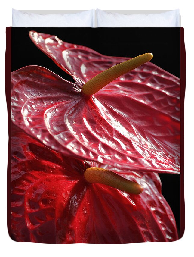 Flower Duvet Cover featuring the photograph Anthurium Flamingo by Tammy Pool