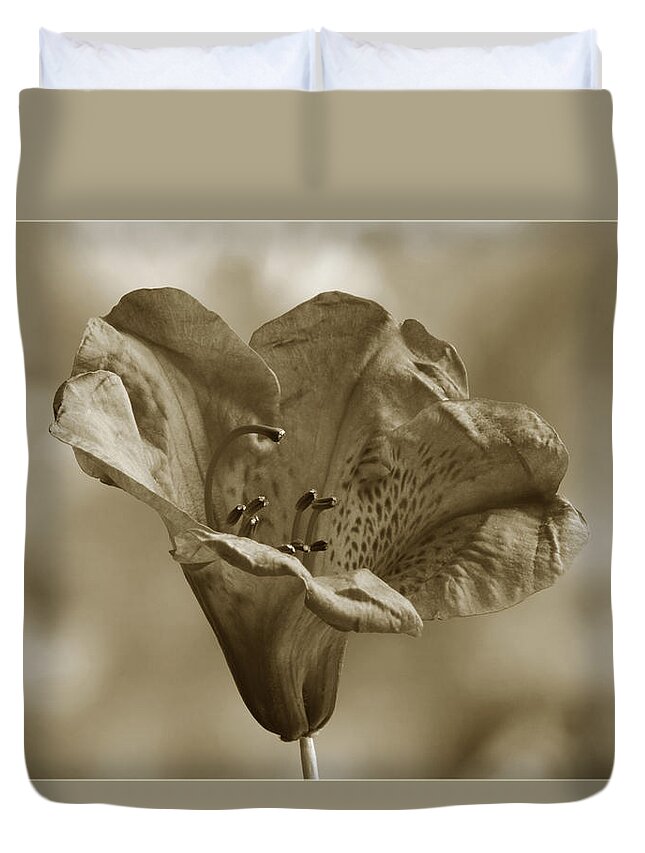 Rhododendron Duvet Cover featuring the photograph Antique Rhododendron by Terence Davis