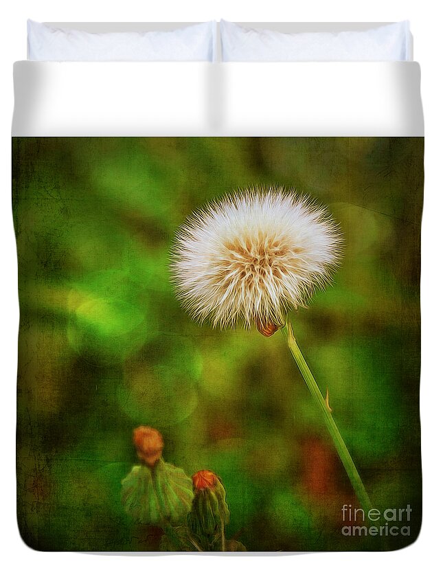 Art Prints Duvet Cover featuring the photograph Antiqued Dandelion by Dave Bosse