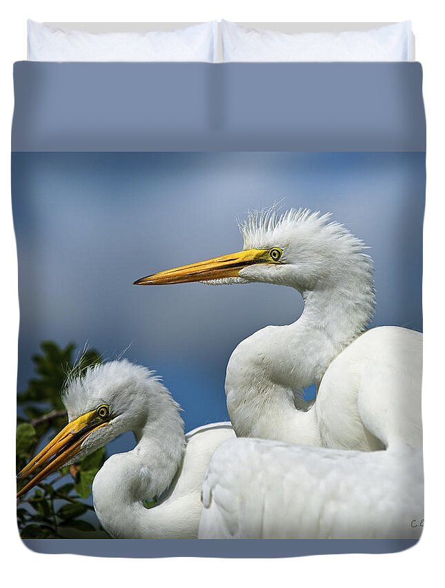 Egret Duvet Cover featuring the photograph Anxiously Waiting by Christopher Holmes