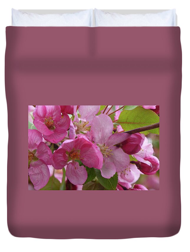 Flowers Duvet Cover featuring the photograph Apple Blossoms by Cris Fulton