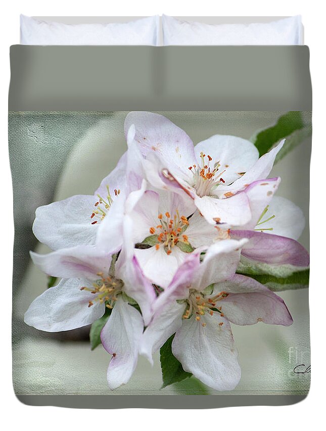 Apple Blossoms Duvet Cover featuring the photograph Apple Blossoms from my Hepburn Garden by Chris Armytage