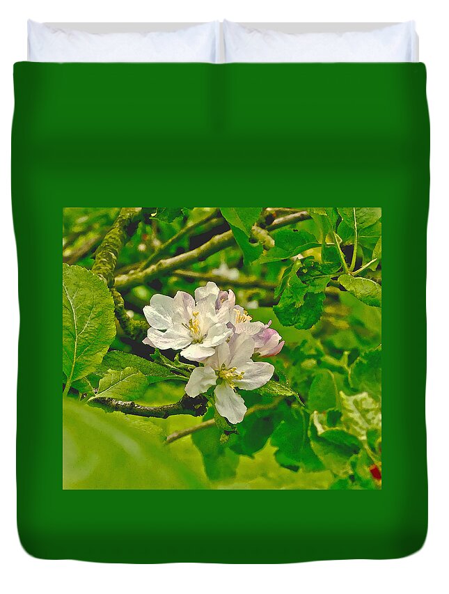 Apple Flowers Duvet Cover featuring the photograph Apple Flowers. by Elena Perelman