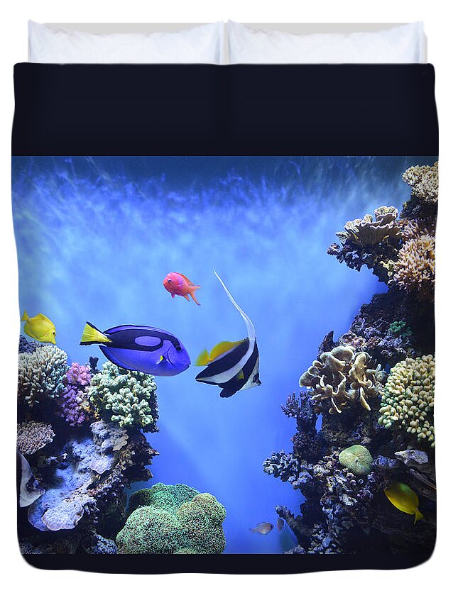 Barbara Snyder Duvet Cover featuring the digital art Aquarium 2 by Barbara Snyder