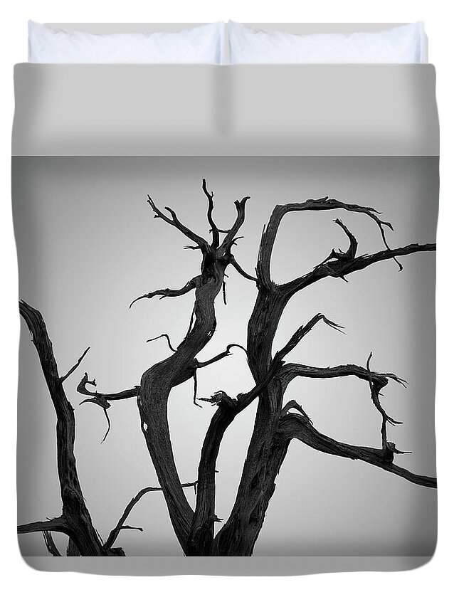 Arches Duvet Cover featuring the photograph Arches NP XIX BW by David Gordon