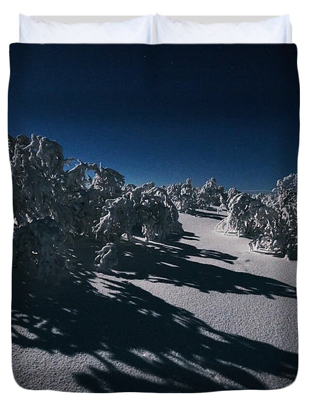 Arctic Duvet Cover featuring the photograph Arctic Birch Forest by Moonlight by Pekka Sammallahti
