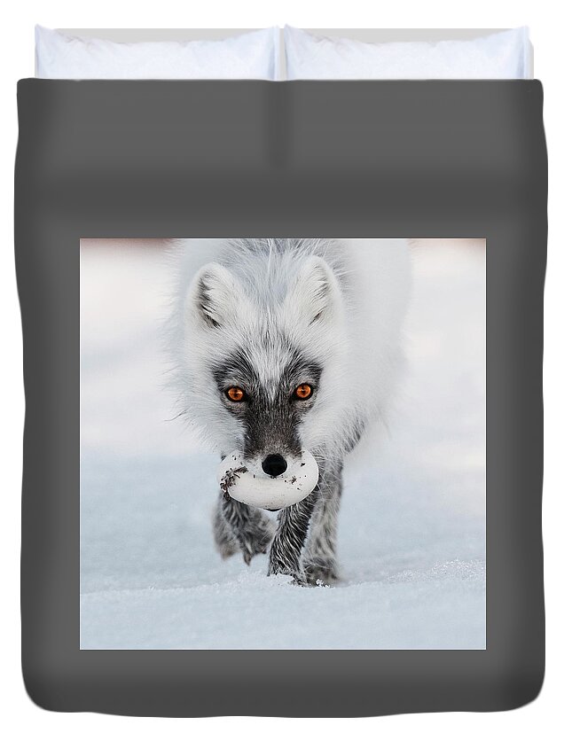 Arctic Fox And Snow Goose Egg Duvet Cover For Sale By Sergey Gorskov
