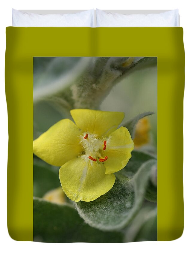 Flower Duvet Cover featuring the photograph Arctic Summer Mullein by Tammy Pool