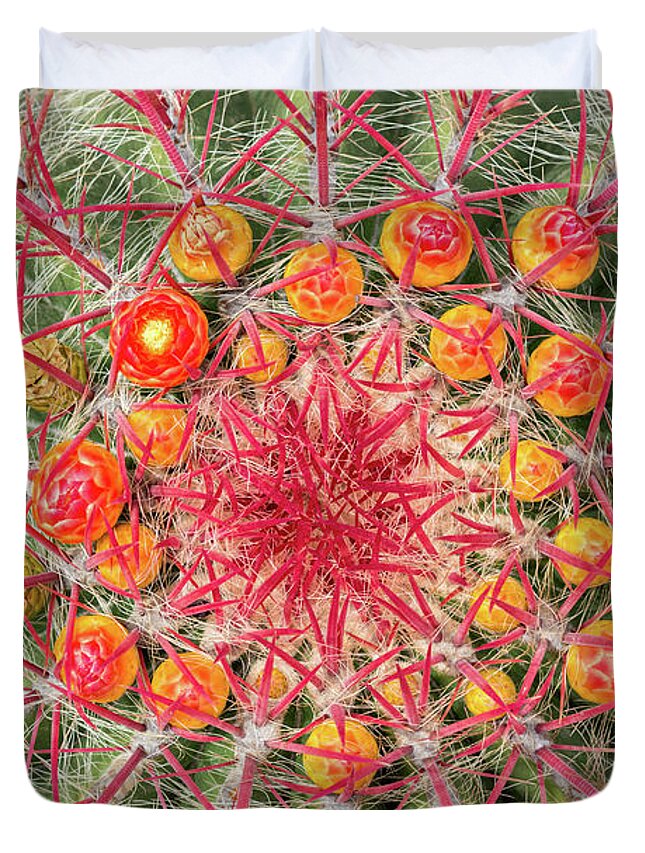 Cactus Duvet Cover featuring the photograph Arizona barrel cactus by Delphimages Photo Creations