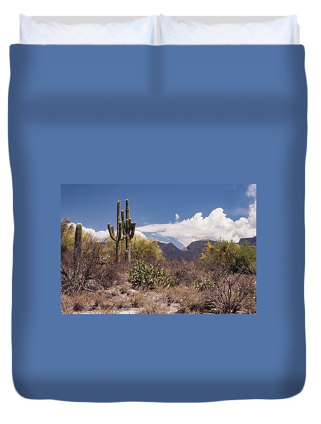 Arizona Duvet Cover featuring the photograph Arizona Desert by David Palmer