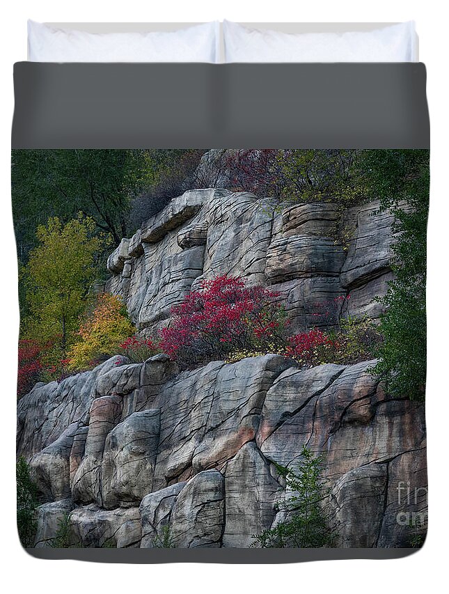 Arizona Duvet Cover featuring the photograph Arizona Highway 89 Fall Color by Jeff Hubbard